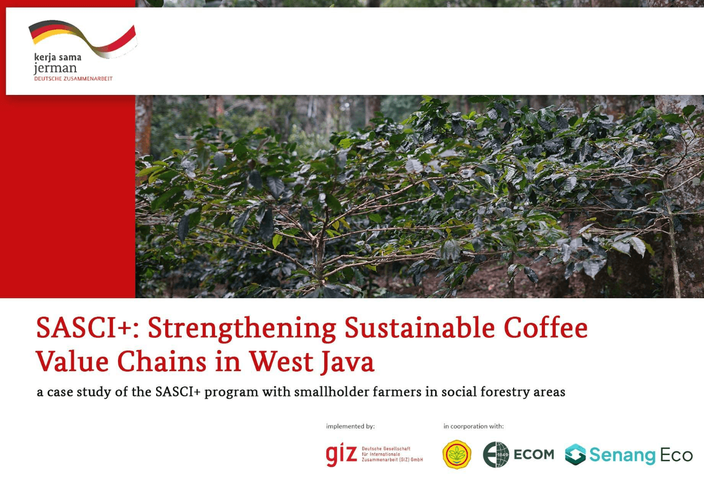 Strengthening Coffee Farmers in West Java: Transforming Sustainable Supply Chains with Senang Eco