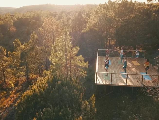 Yoga retreat with daily sessions, full-board meals set in a natural park with ocean views.