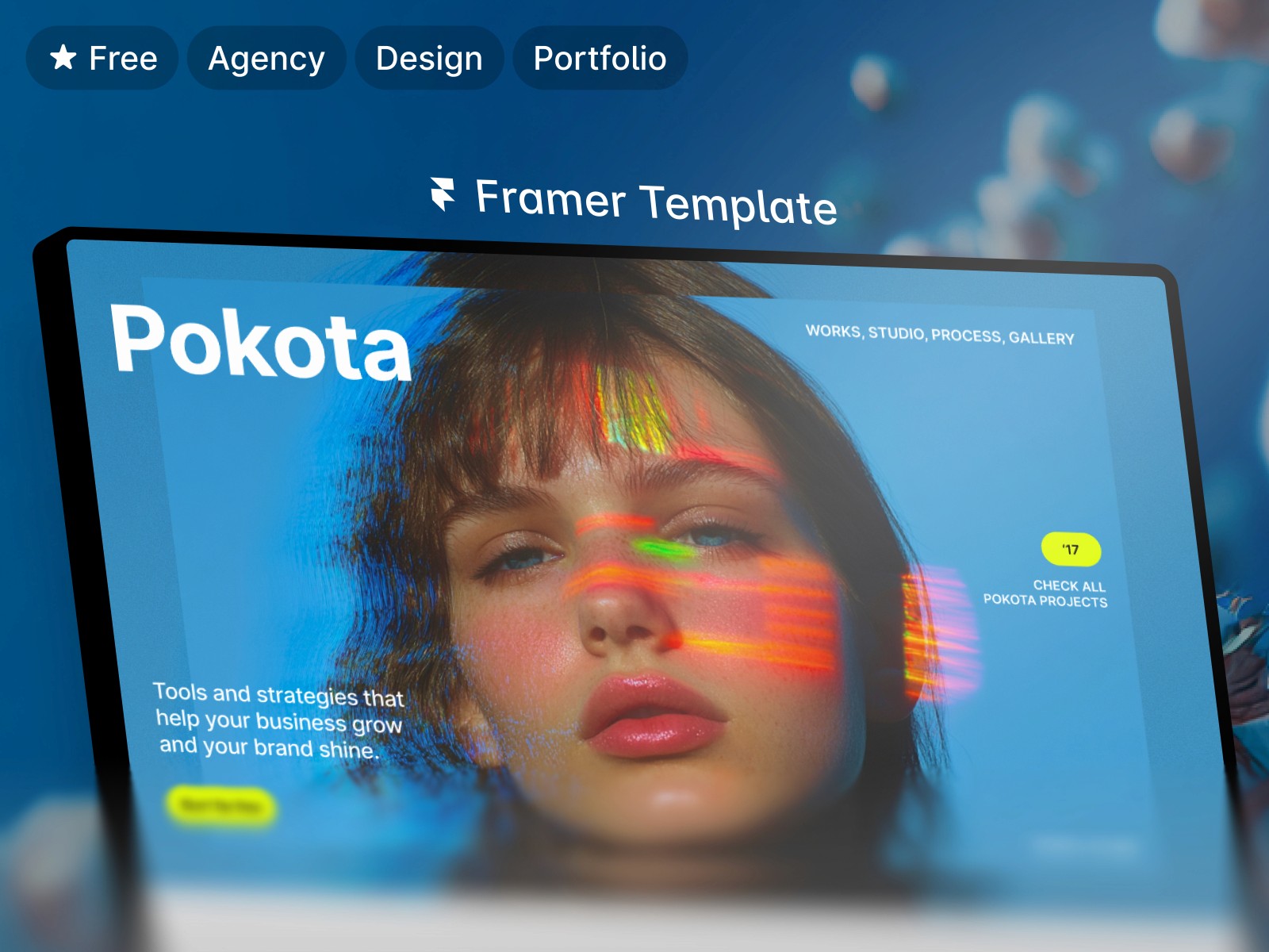 Pokota — 现代专业创意机构官网设计灵感