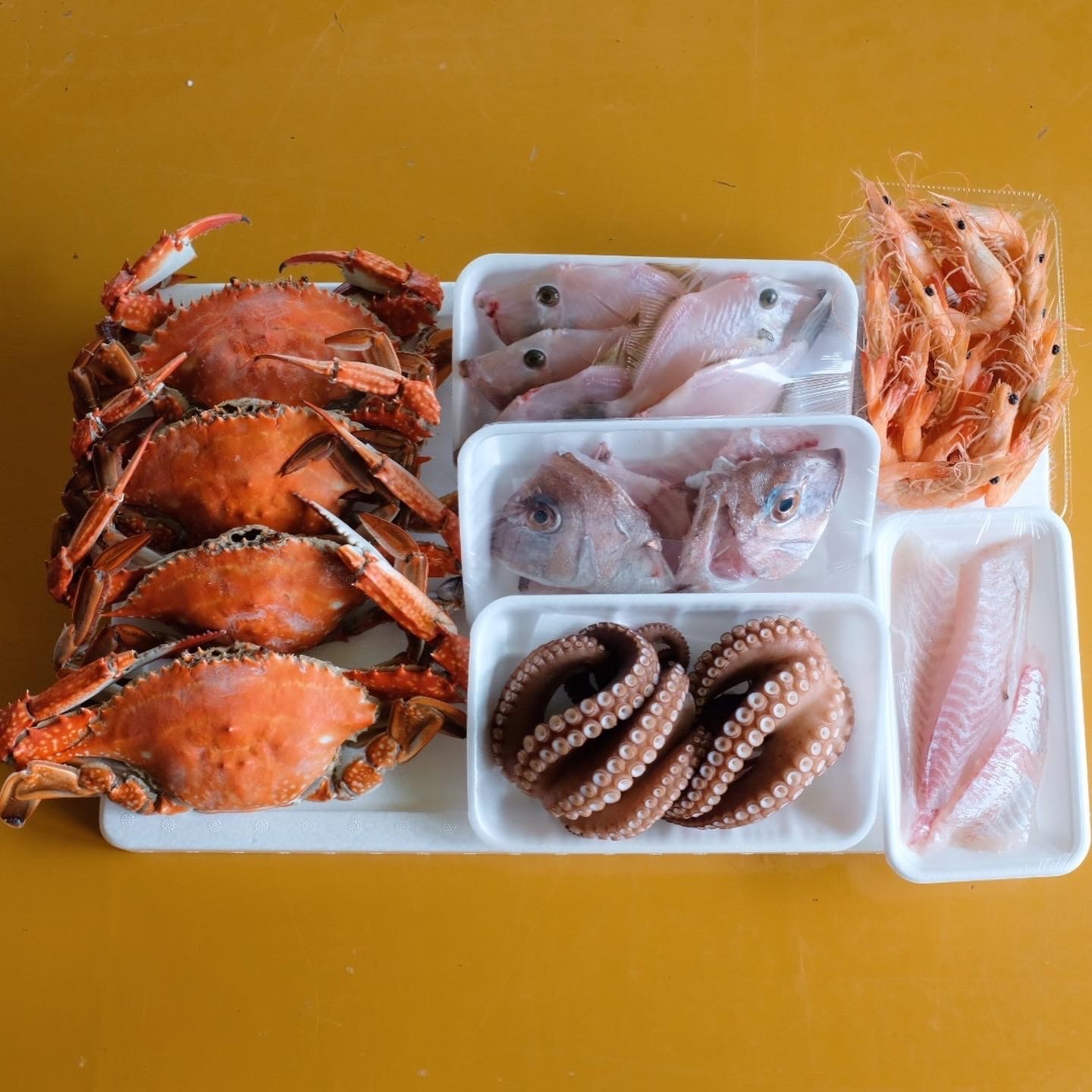 crab, fish, shrimp and octopus on display