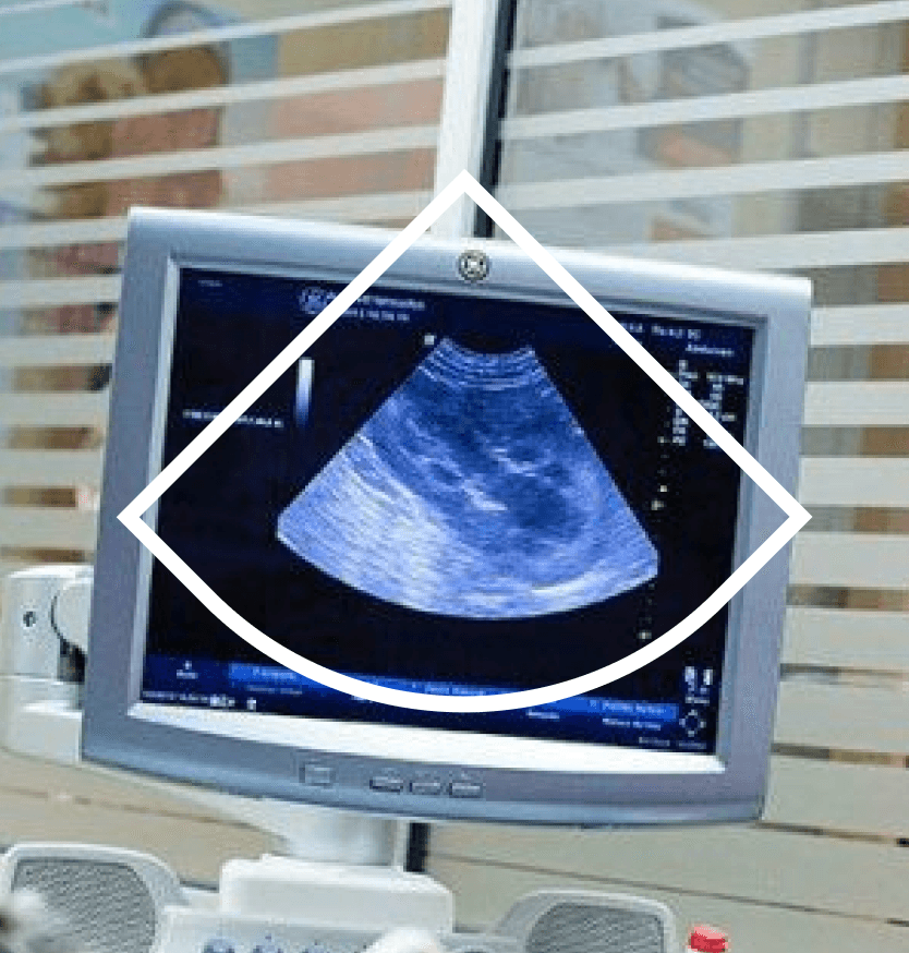 Logotipo formado por las palabras weuta en blanco sobre fondo naranja corporativo.