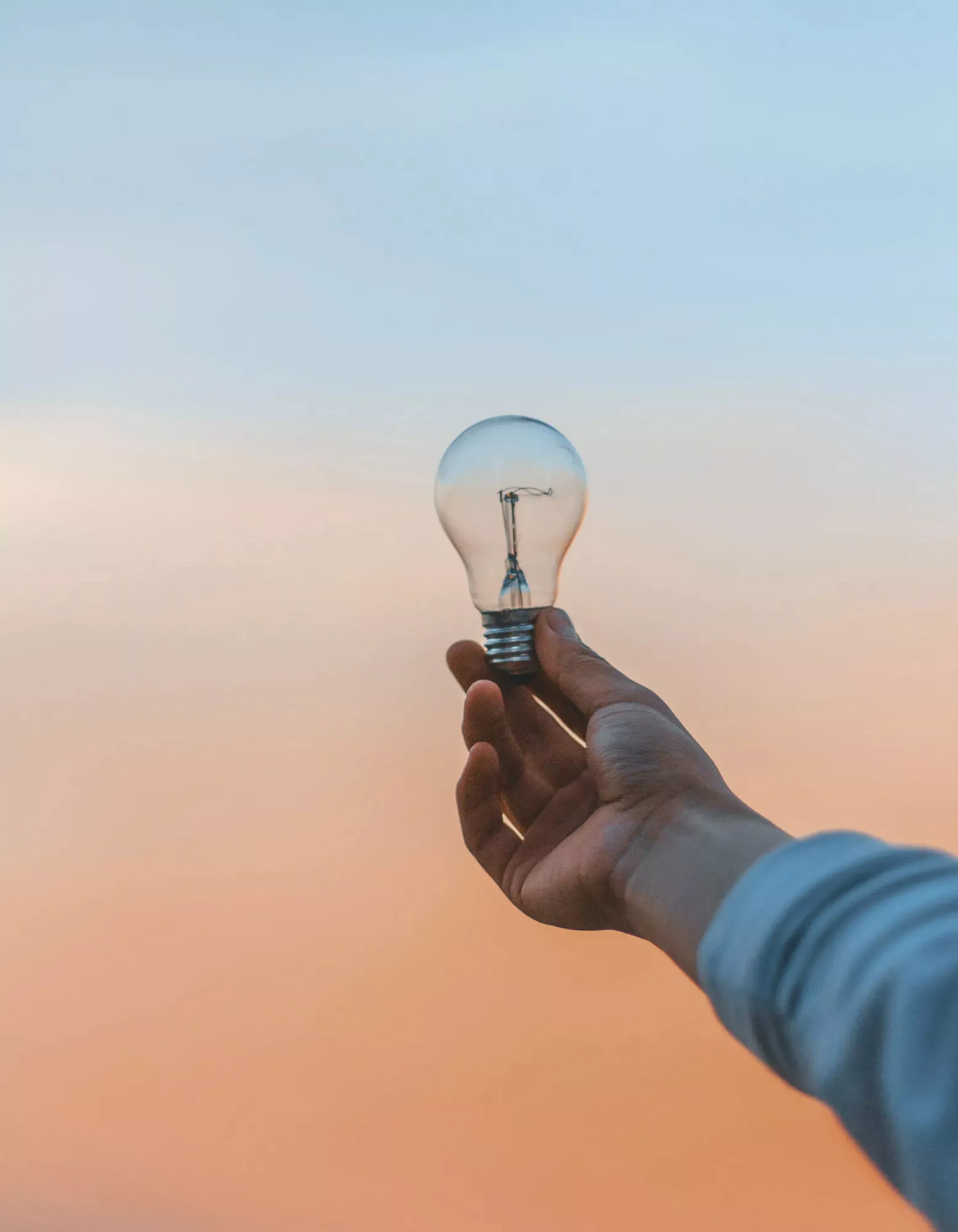 person holding light bulb