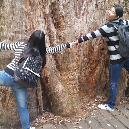 两位背着背包、穿着条纹毛衣的人在一棵大树干前手牵手站着。