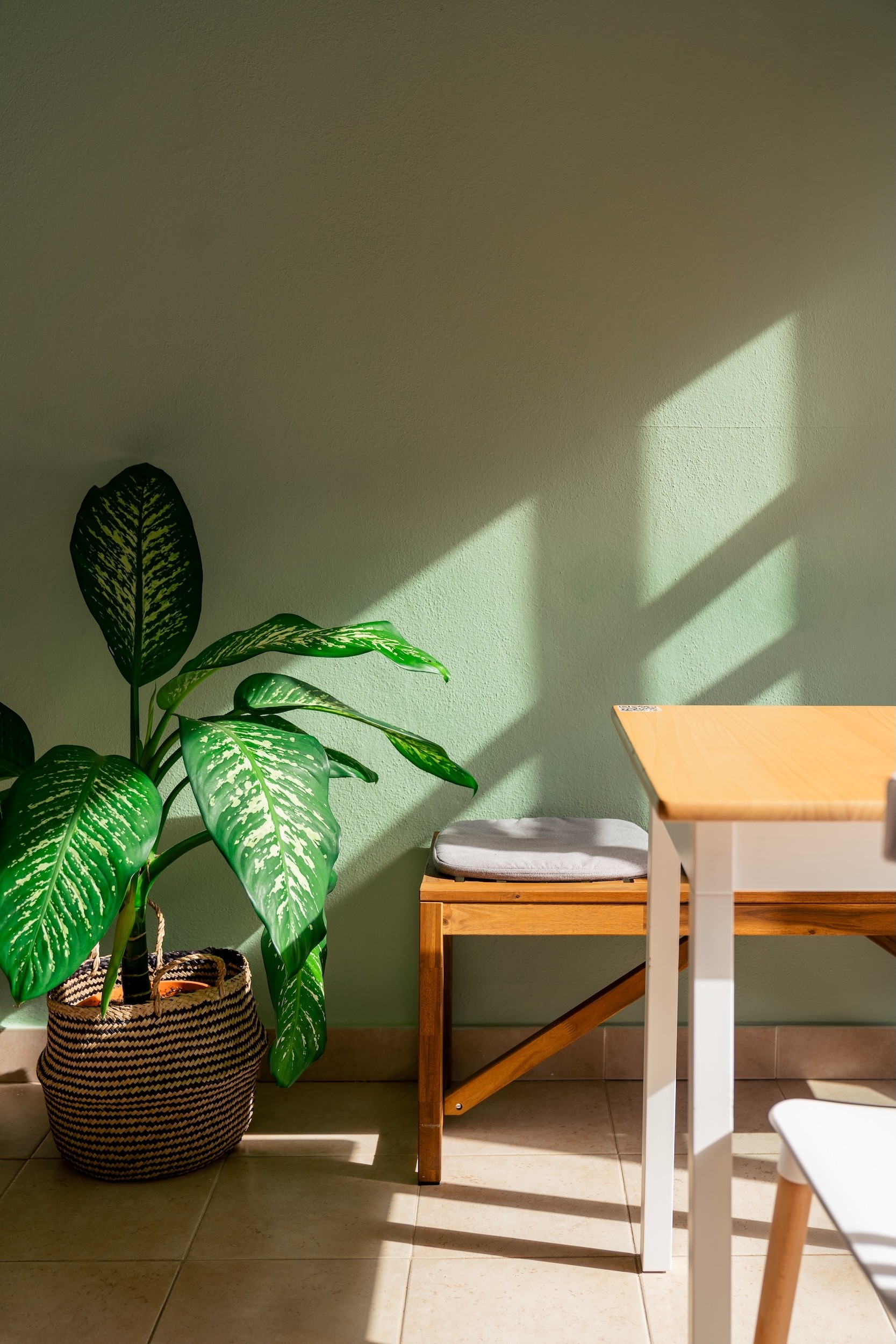 Maitia Café in La Gomera
