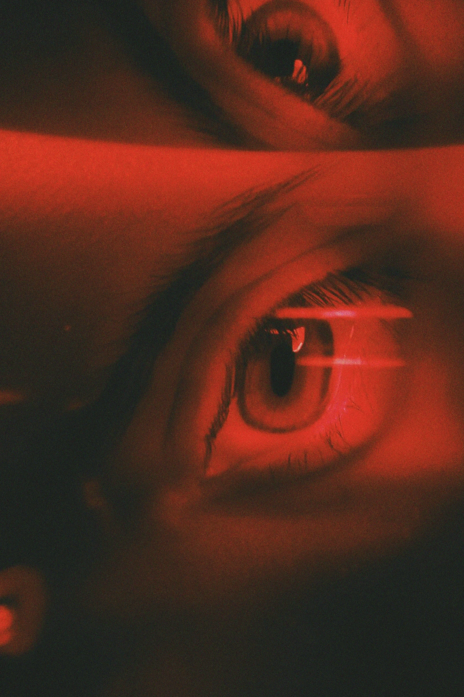 Dasha Yukhymyuk Unsplash