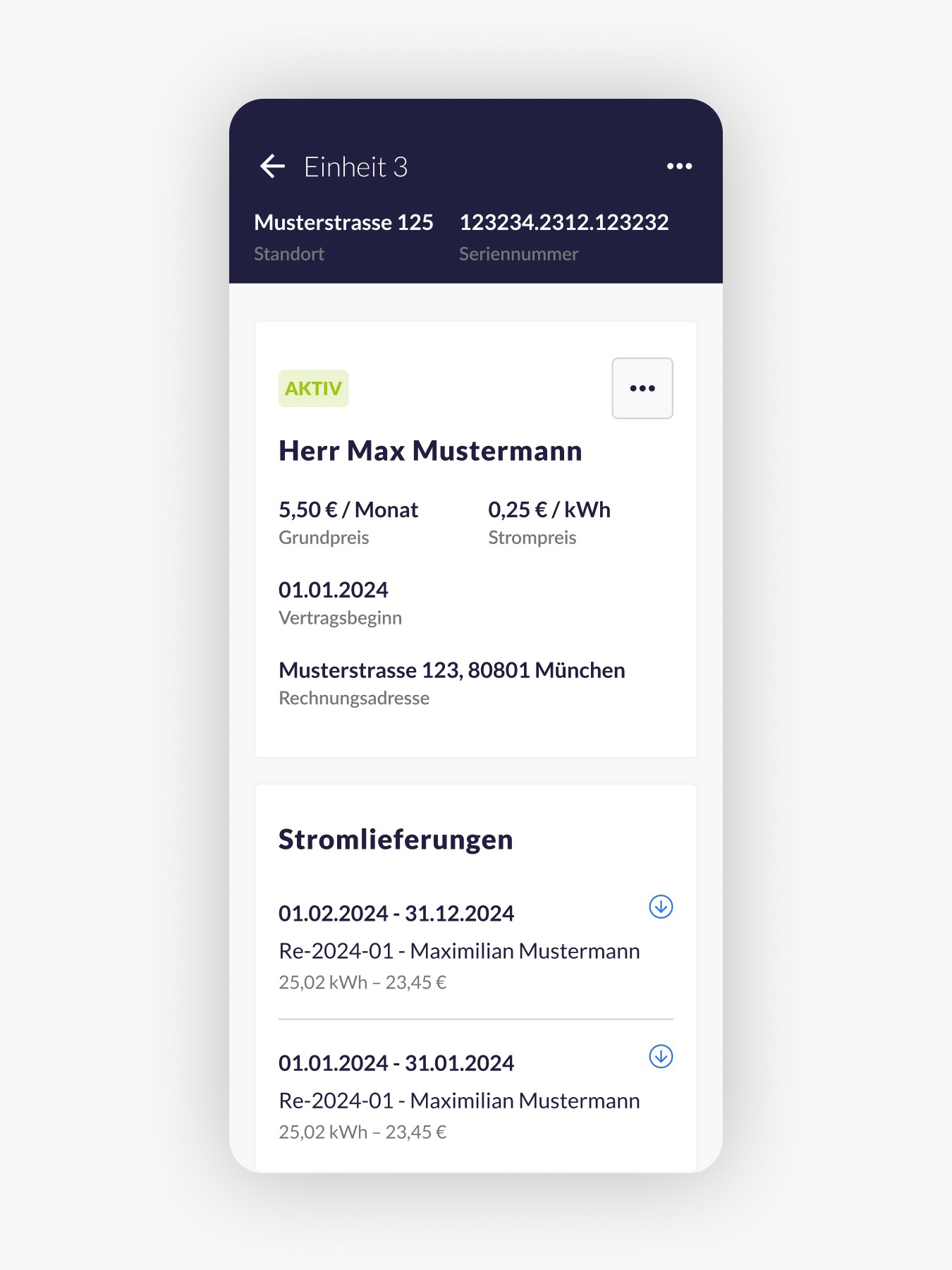 Detailansicht einer Mieteinheit mit Vertragsinformationen, Kostenübersicht und Stromlieferungen.