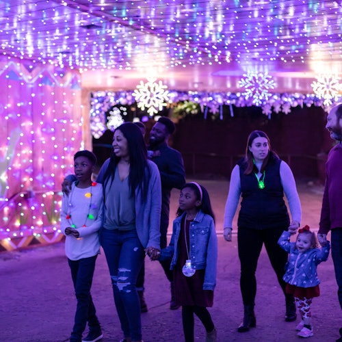 坦帕动物园：野生圣诞节门票信息
