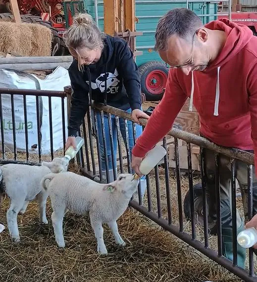 Lokale vindbaarheid voor recreatie bedrijven.