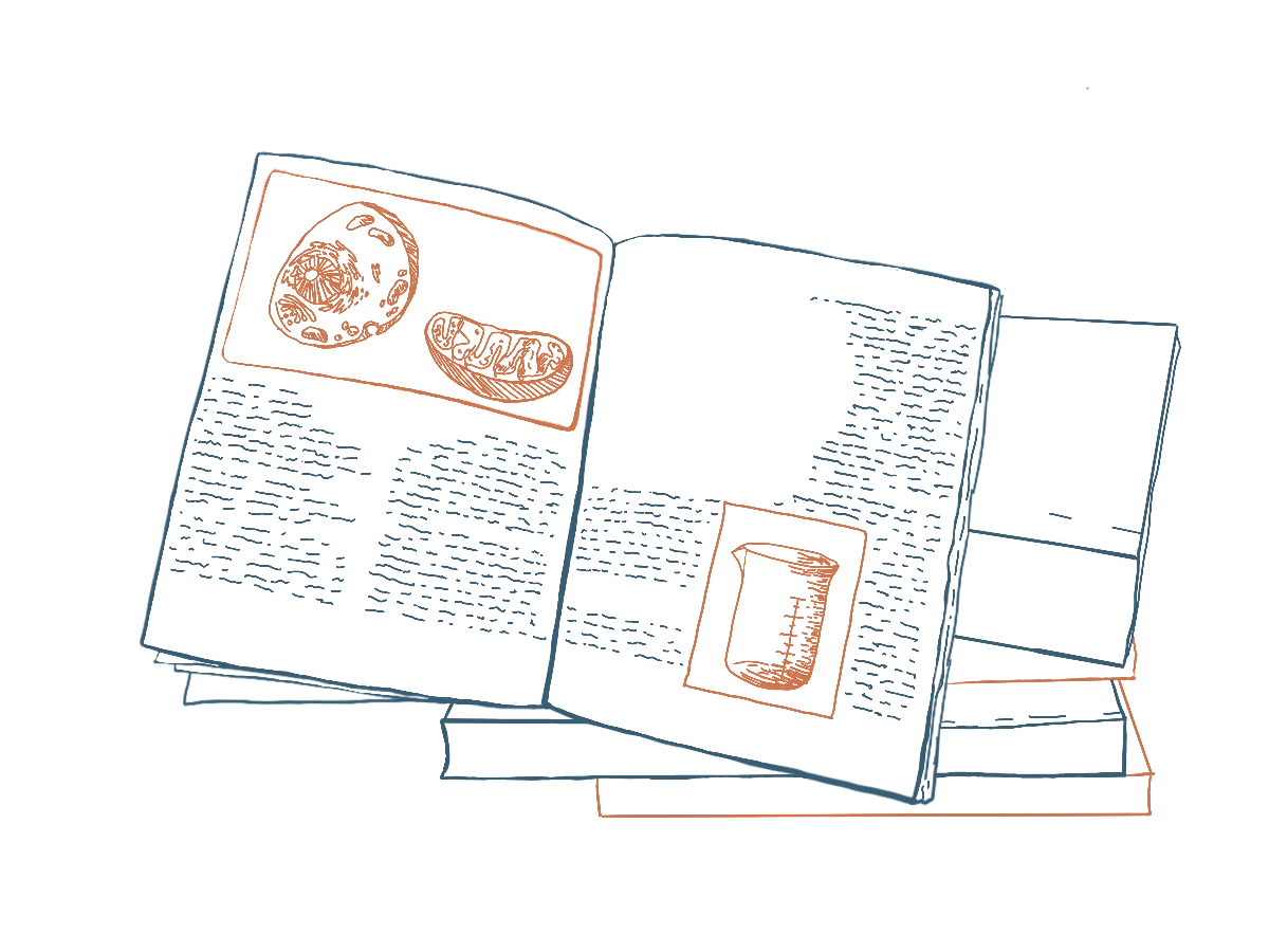 The image shows a stack of three overlapping documents featuring graphics of oranges and a clipboard, highlighting the theme of task management and organization.