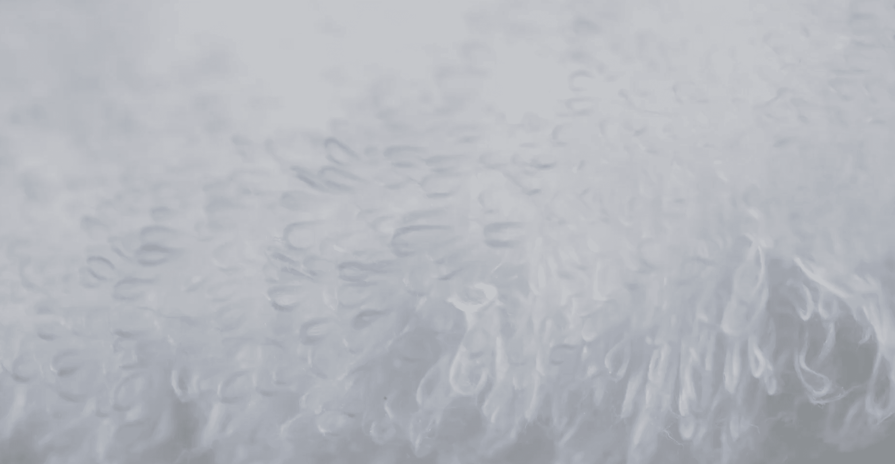 imabari towel, towel, made in japan