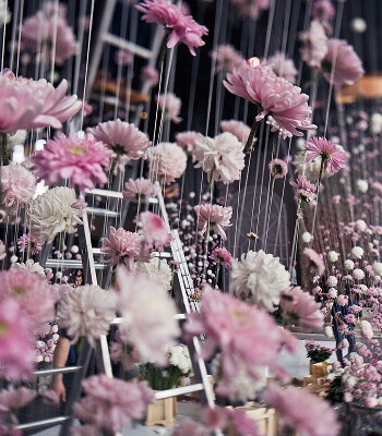 A vibrant scene filled with pink flowers and decorations, featuring people on ladders amidst the floral display.