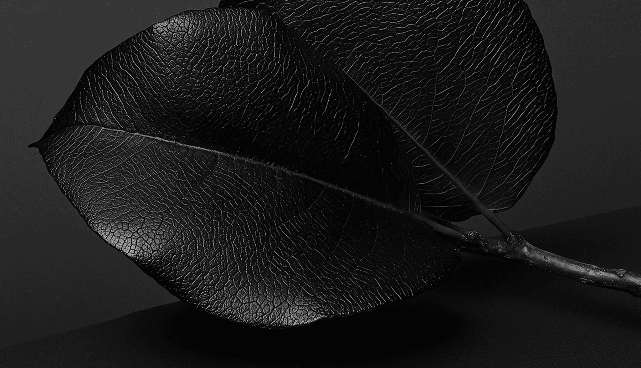 Man Wearing Black Coat