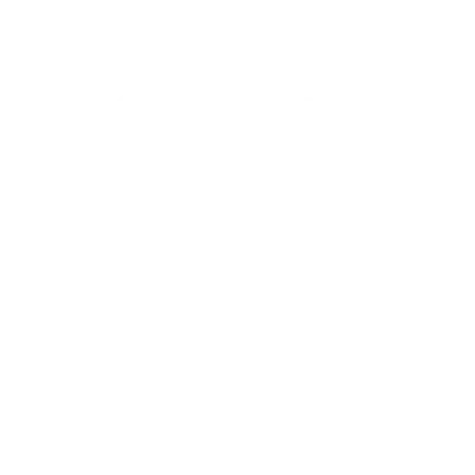 pansyer agency mouse click