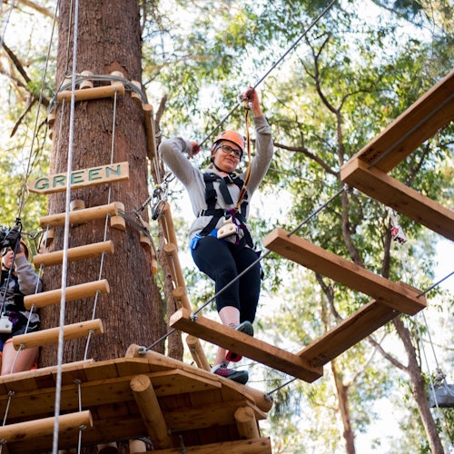 科夫斯港：科夫斯港的树顶冒险门票