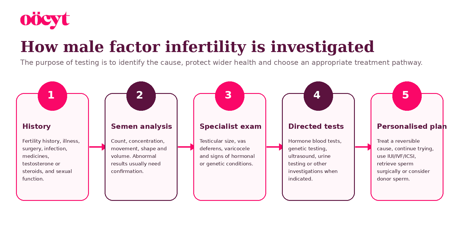 Five steps show fertility history, semen analysis, specialist examination, directed testing and a personalised plan.
