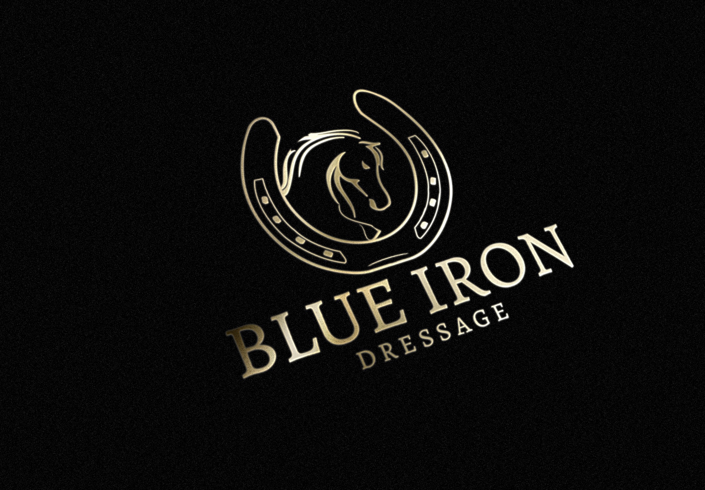 Blue Iron Logo