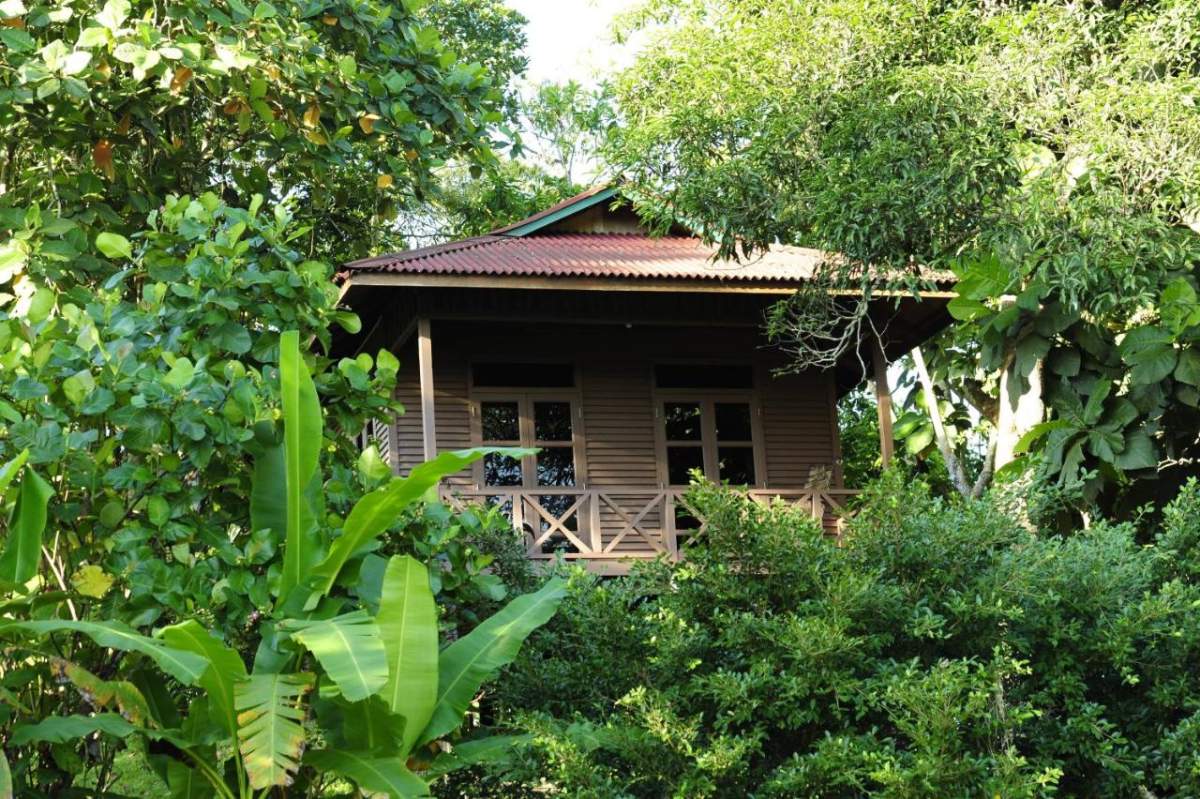 three brown wooden boat on blue lake water taken at daytime