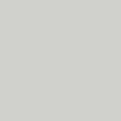 Silk Grigio Chiaro (620)