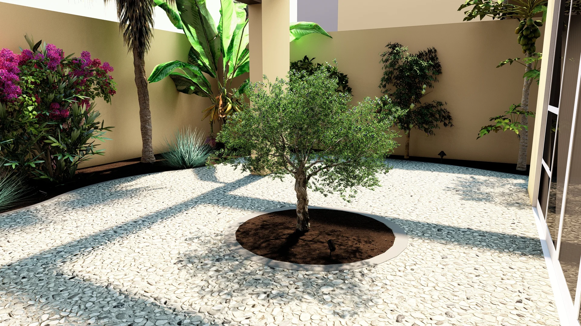 A prominent circular planter by the enterance, housing an olive tree.