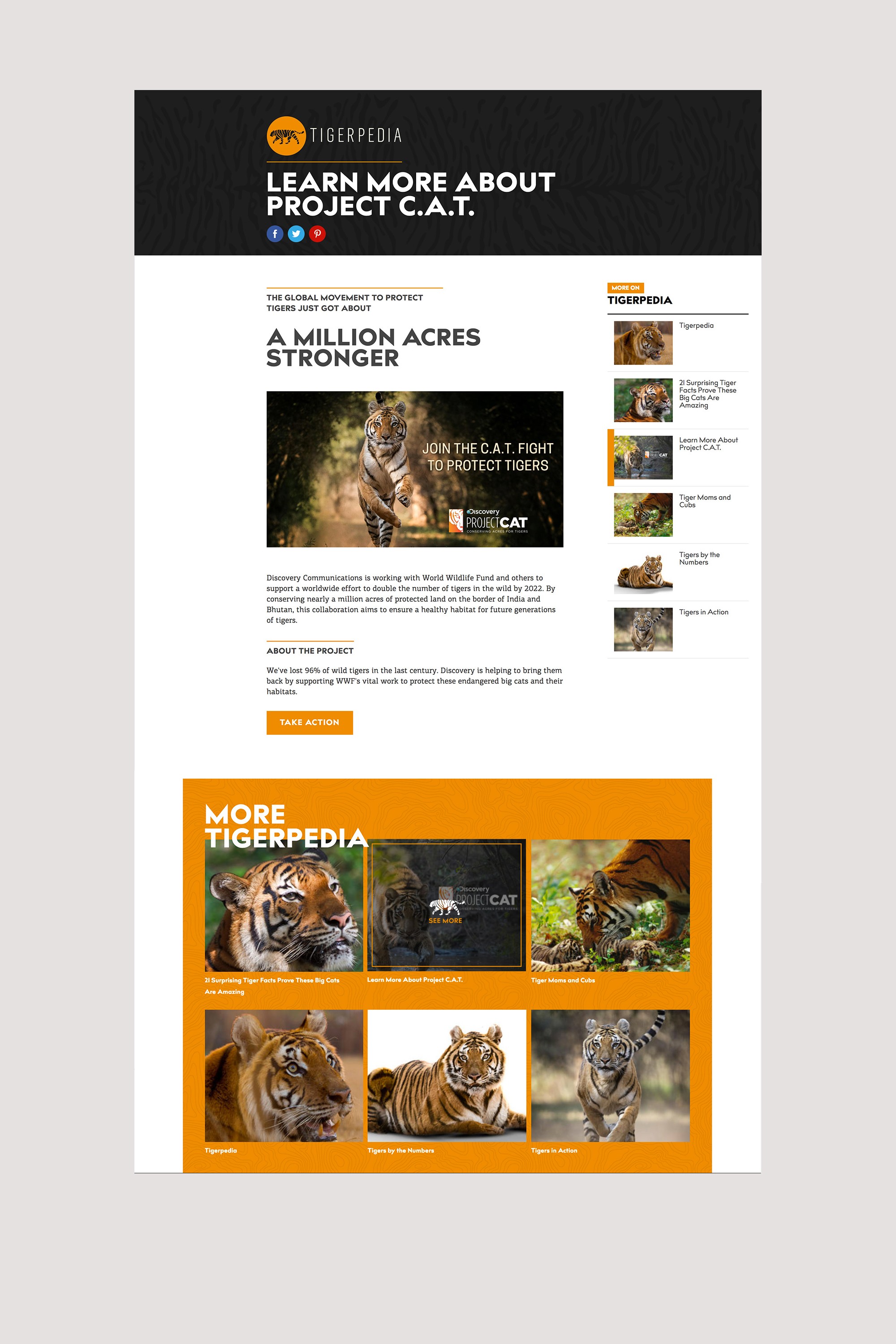 Project Gallery Image for 50% width of the screen #2