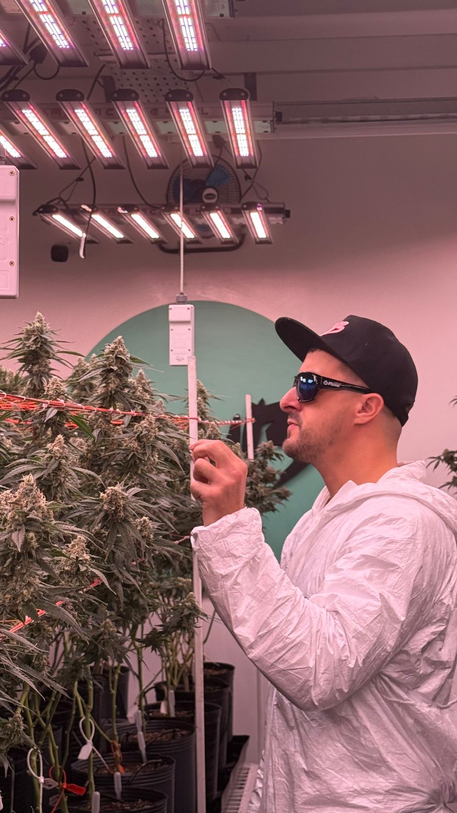 Don Sativa- Revegetars  - Jurado