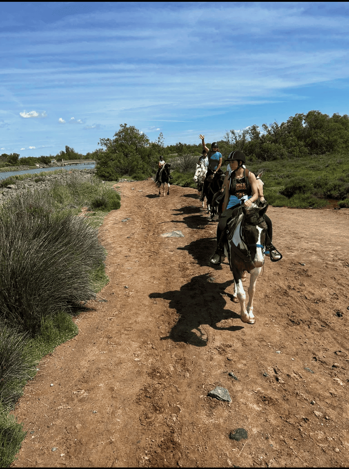 Groupe de cavaliers en balade à cheval sur un sentier nature près du Cap d'Agde.