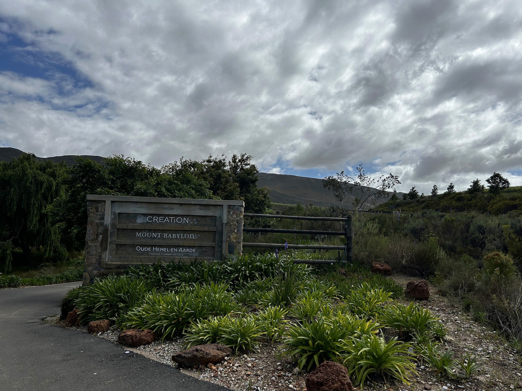 The splendor of the landscape merges with meticulously crafted wines.