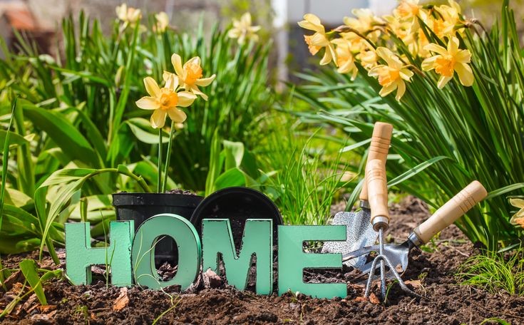 Established Home & Garden E-Commerce Brand | 8-Year History | 100% Google & Social Organic Traffic | High 43% Profit Margin & Monetized YouTube Channel