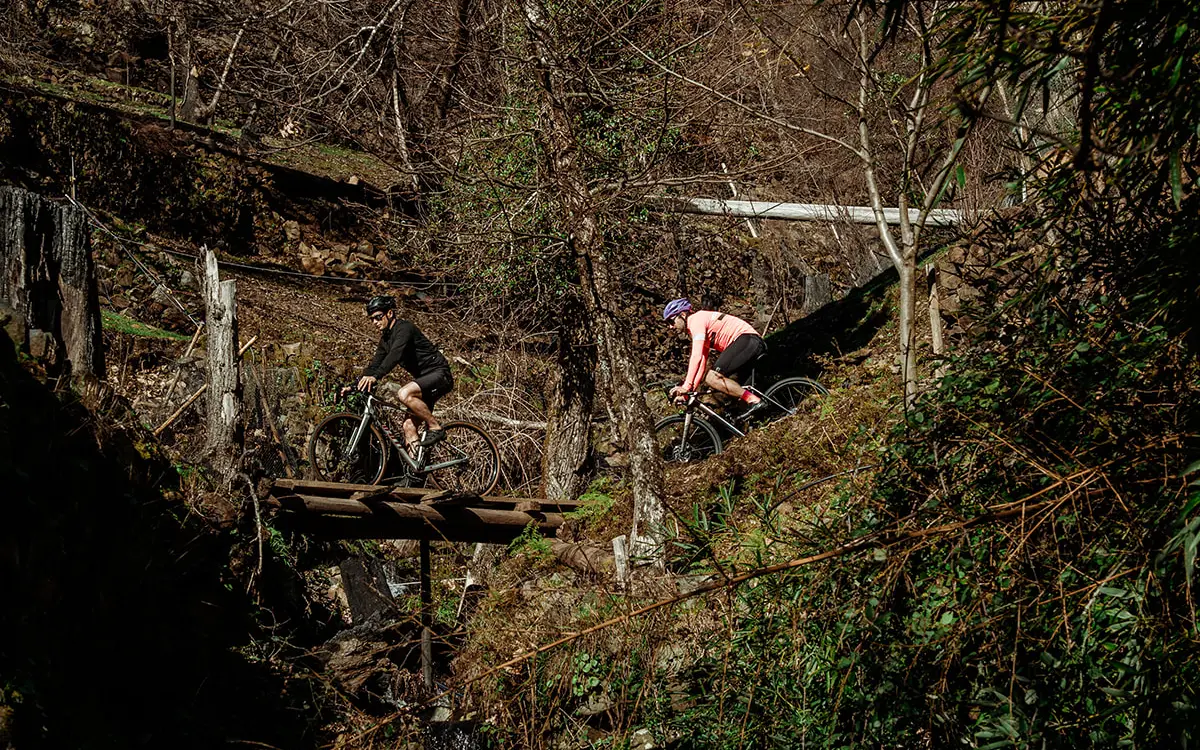 two persons riding their bicycle on a road with trees on either side