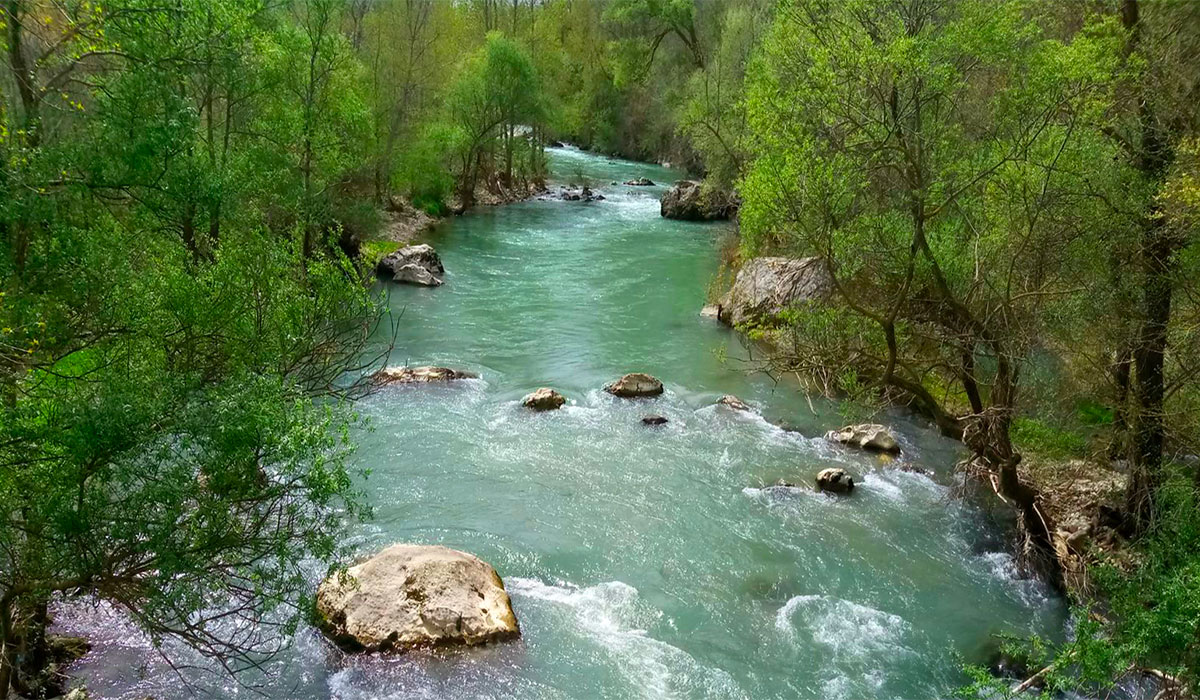 Fly fish for large brown trout in clear waters, just an hour from Naples, in the Volturno River.