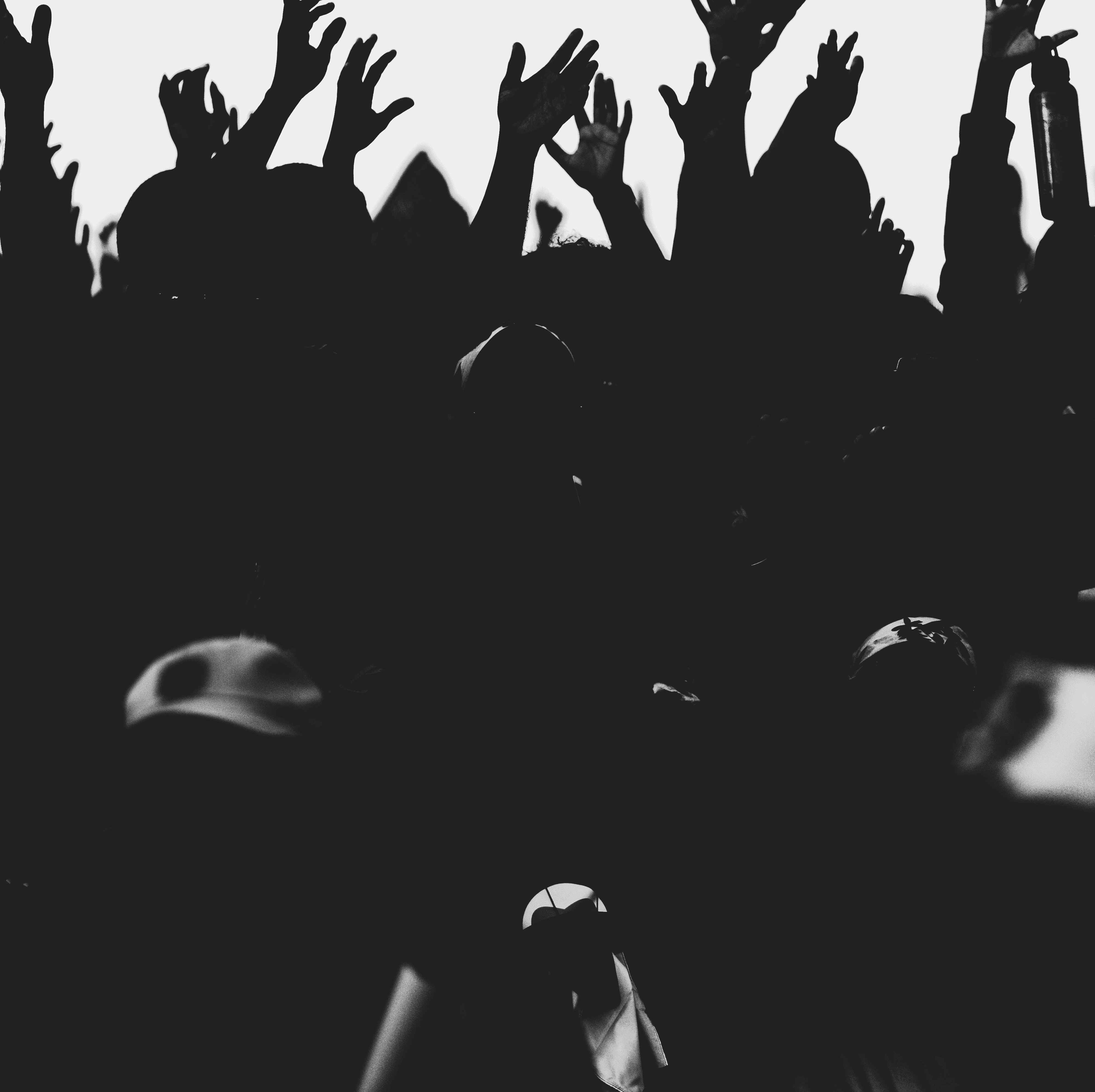 silhouette of people raising their hands
