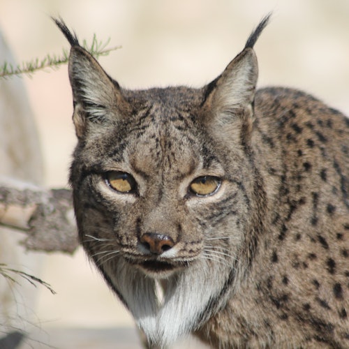 Terra Natura Murcia: Entry Tickets in Murcia