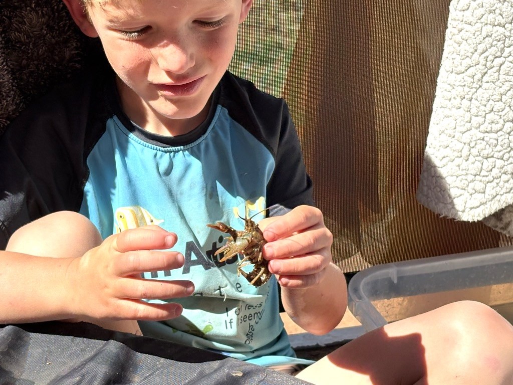 Hyrum holding a crawfish from the creek near our campsite