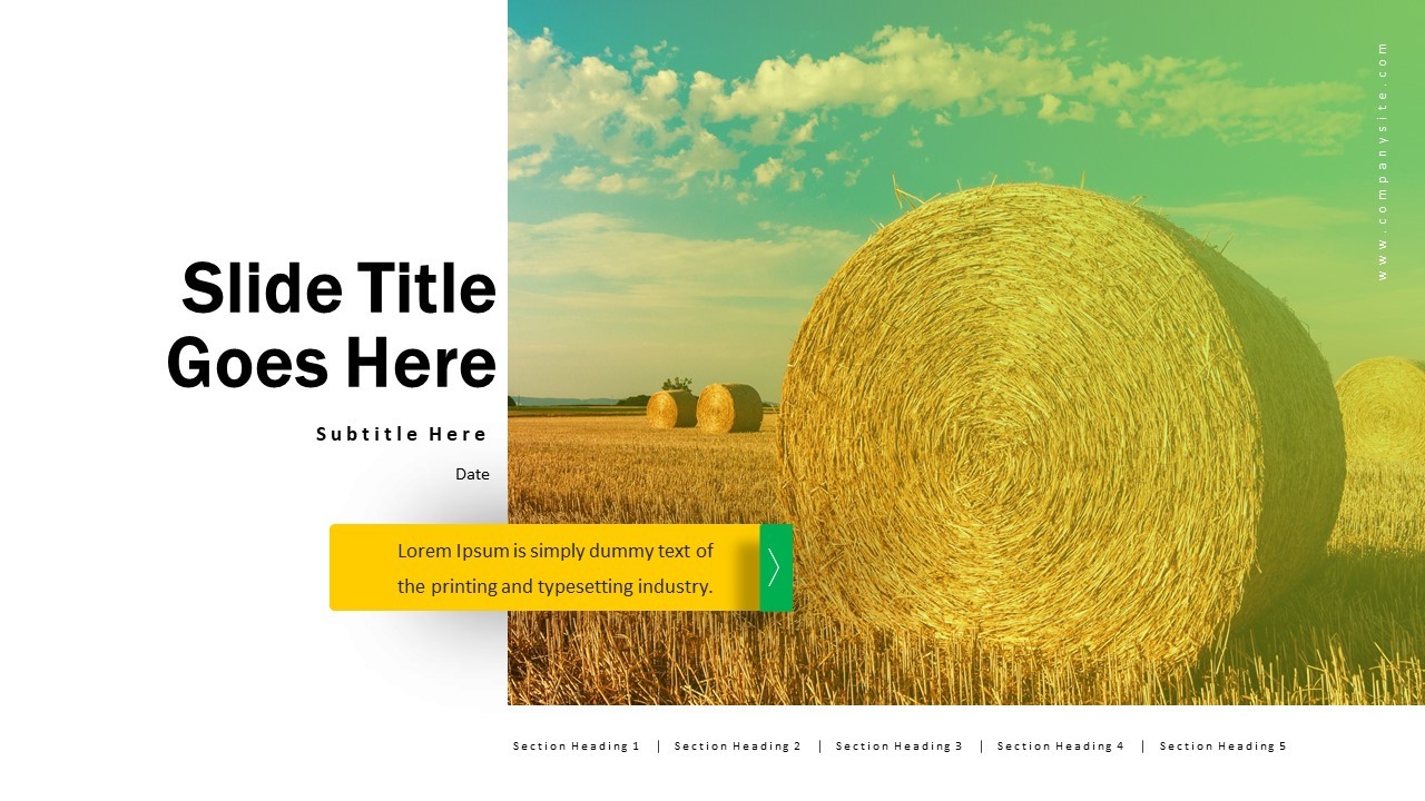 Professional Slide Design with Modern Aesthetics