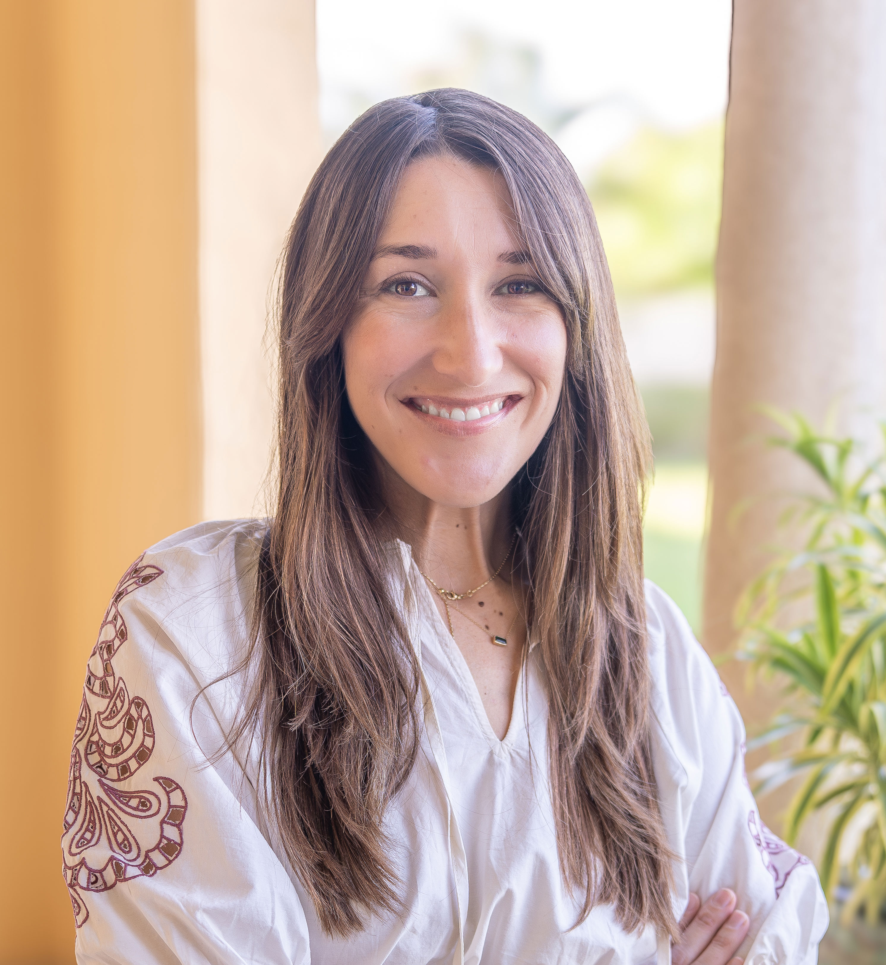 aerial shot of forest