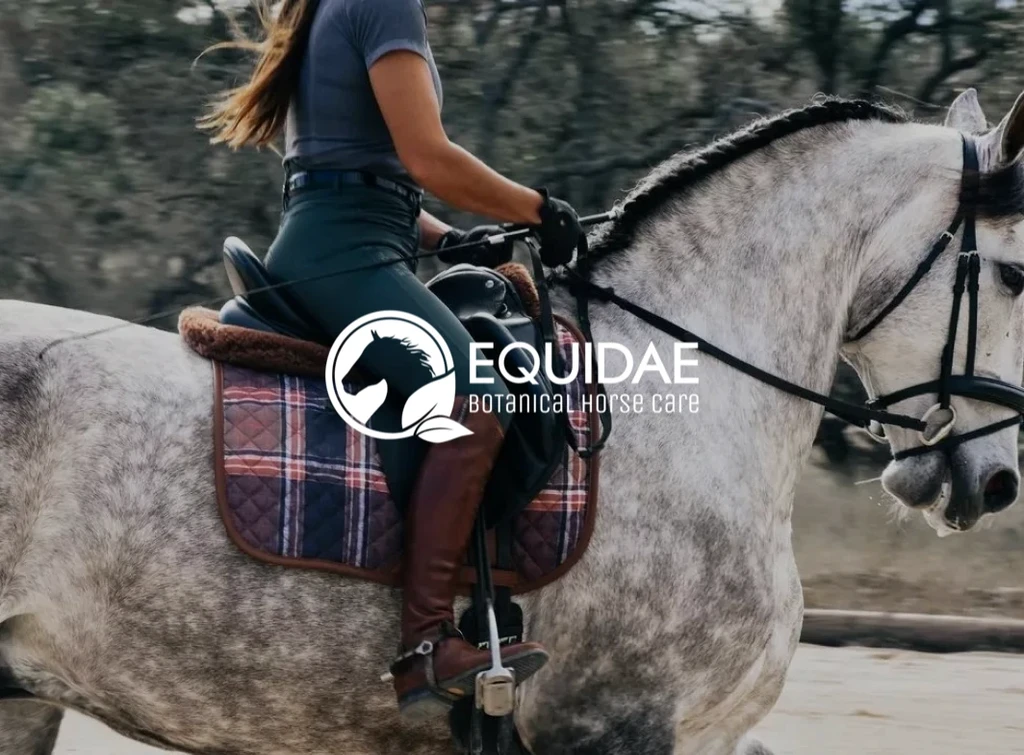 Equidae