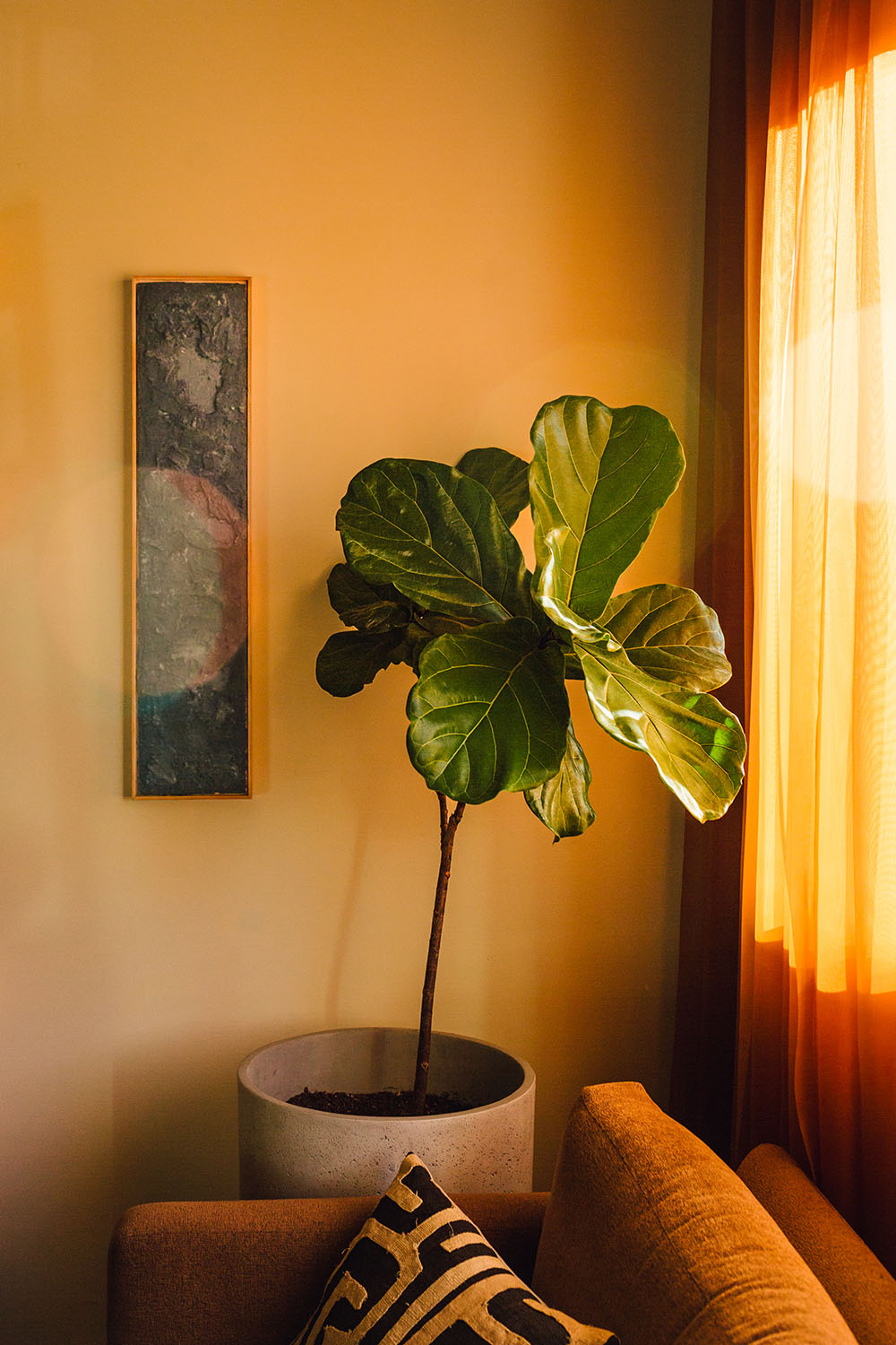 A fiddle leaf fig soaks up sunlight through the window of the lobby at Particle Studios. The wall behind is dressed with artwork titled "On the tines of the void" created by Bethanie Jones.