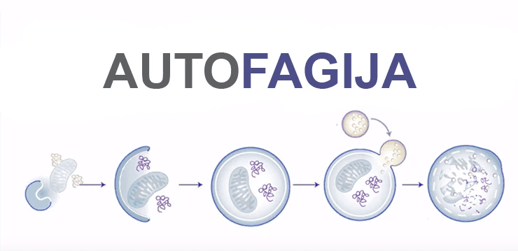 The image features a futuristic humanoid figure with a smooth, white surface, wearing a helmet with an orange visor that emits a soft glow. 