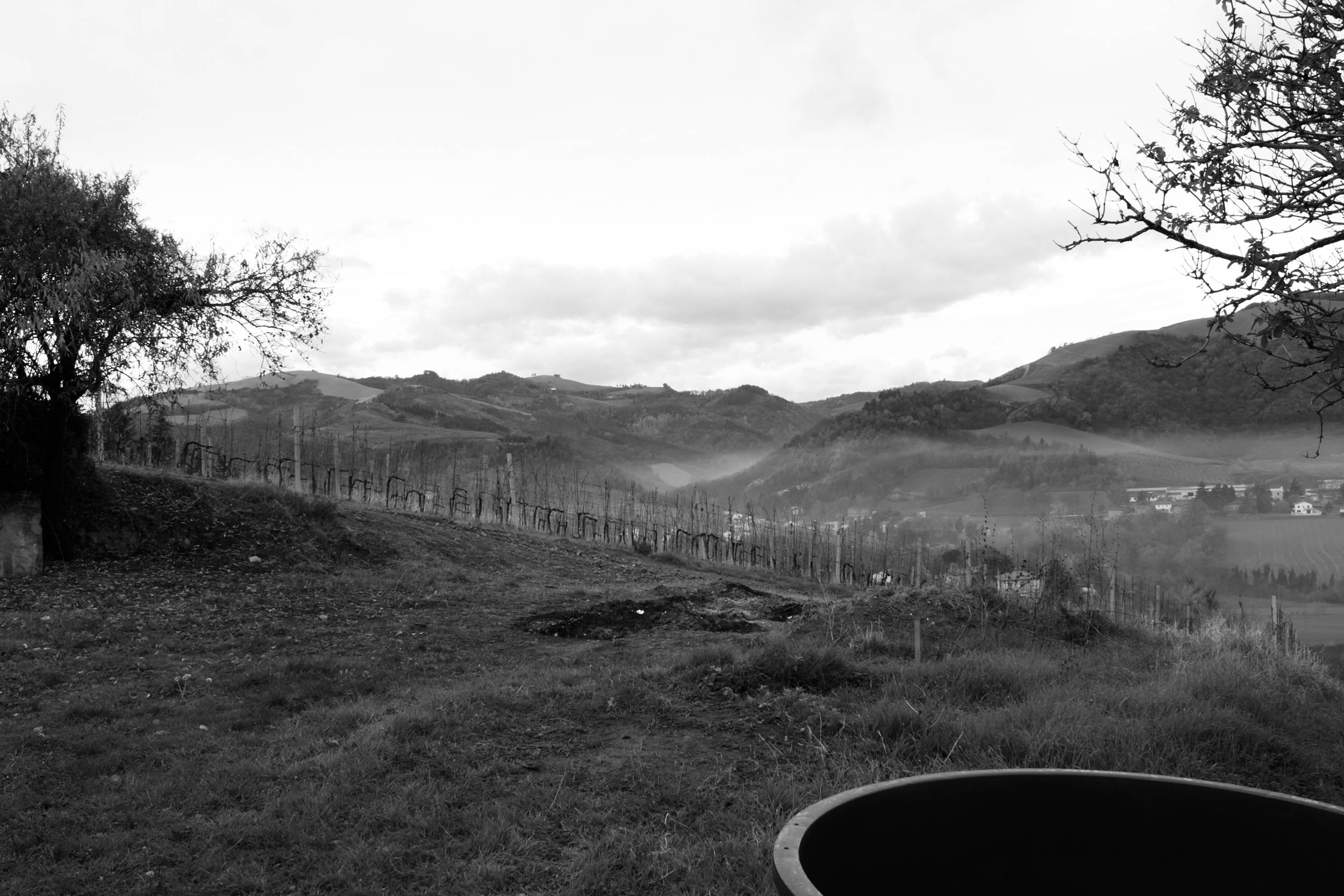 Workshop made of bright wood