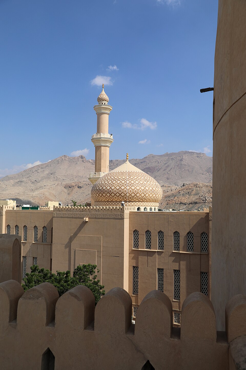 a tree with pink flowers in front of a store