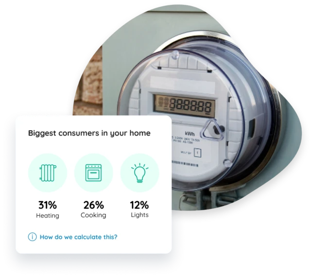 Eliq's solution for Germany's smart meter rollout.