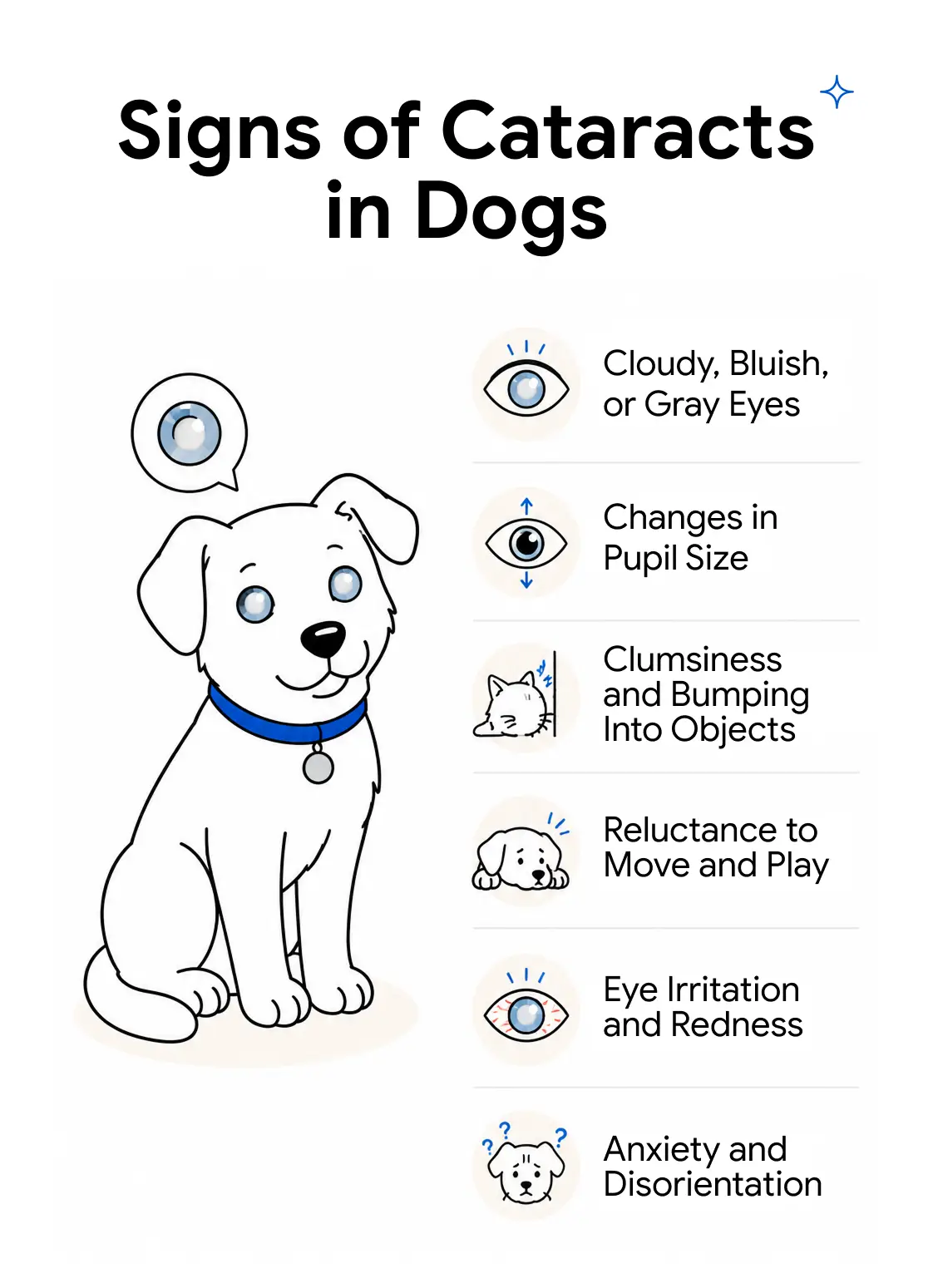 An infographic showing the common symptoms of cataracts in dogs.