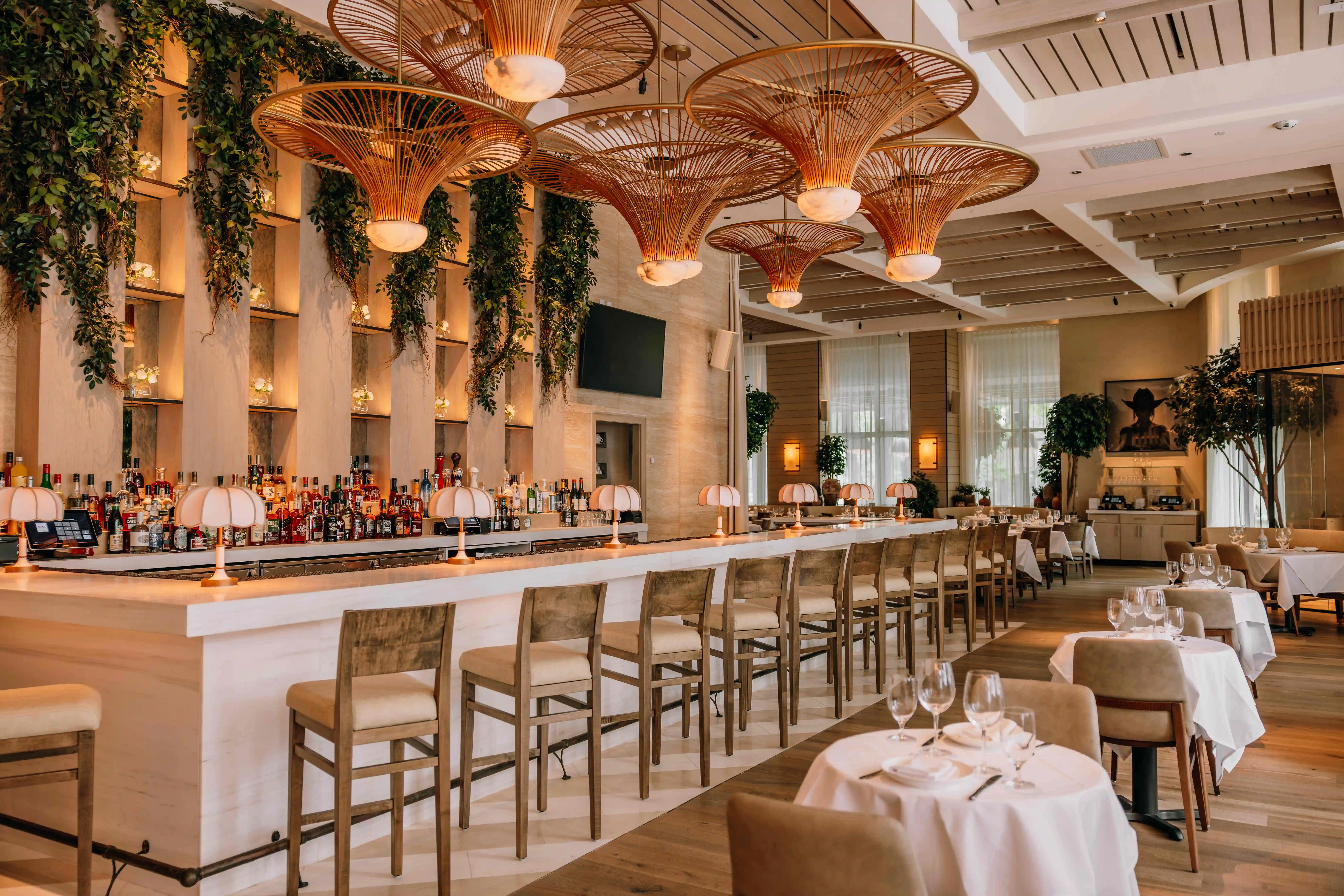 A stylish restaurant interior with a wooden ceiling, hanging plants, and a bright bar area.
