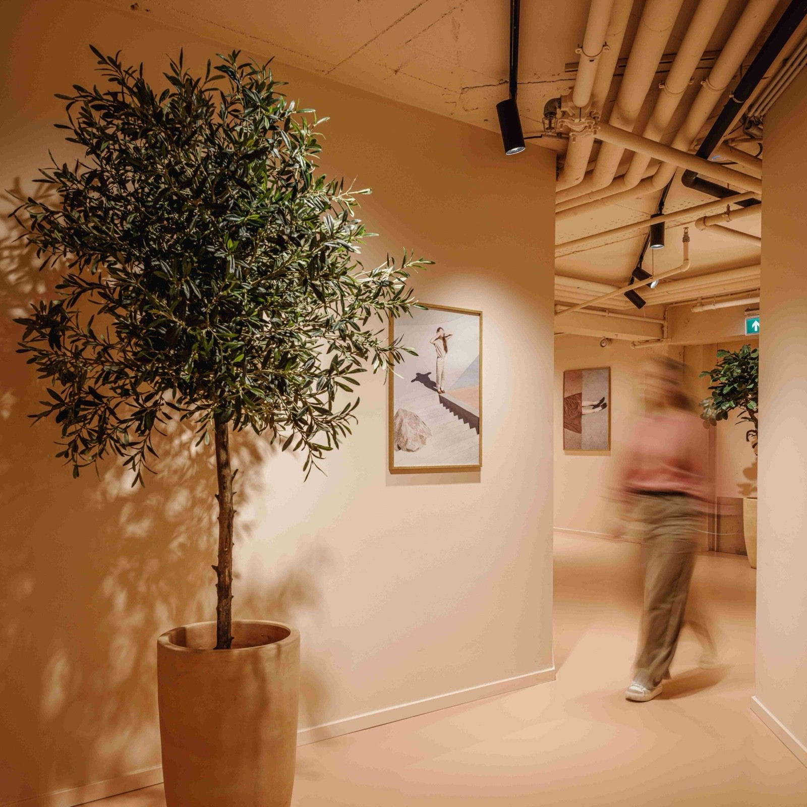 Curitt Utrecht
