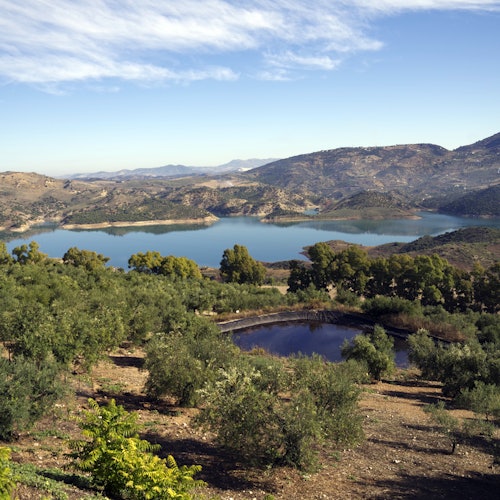 Hilly landscape with a lake, trees, and shrubs under a blue sky with scattered clouds.