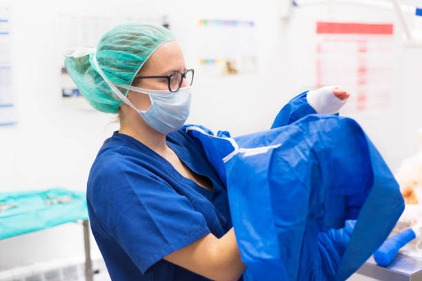 A veterinary surgeon prepares to operate on a cat patient