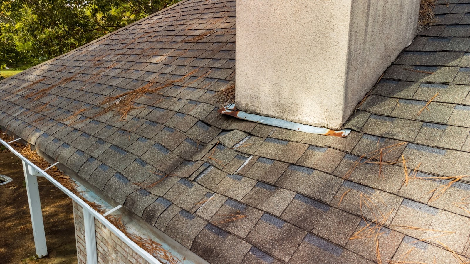 Identify Roof Leak