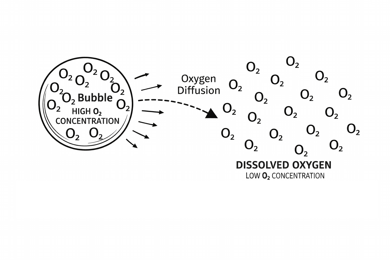 Bubble diffusing oxygen into water