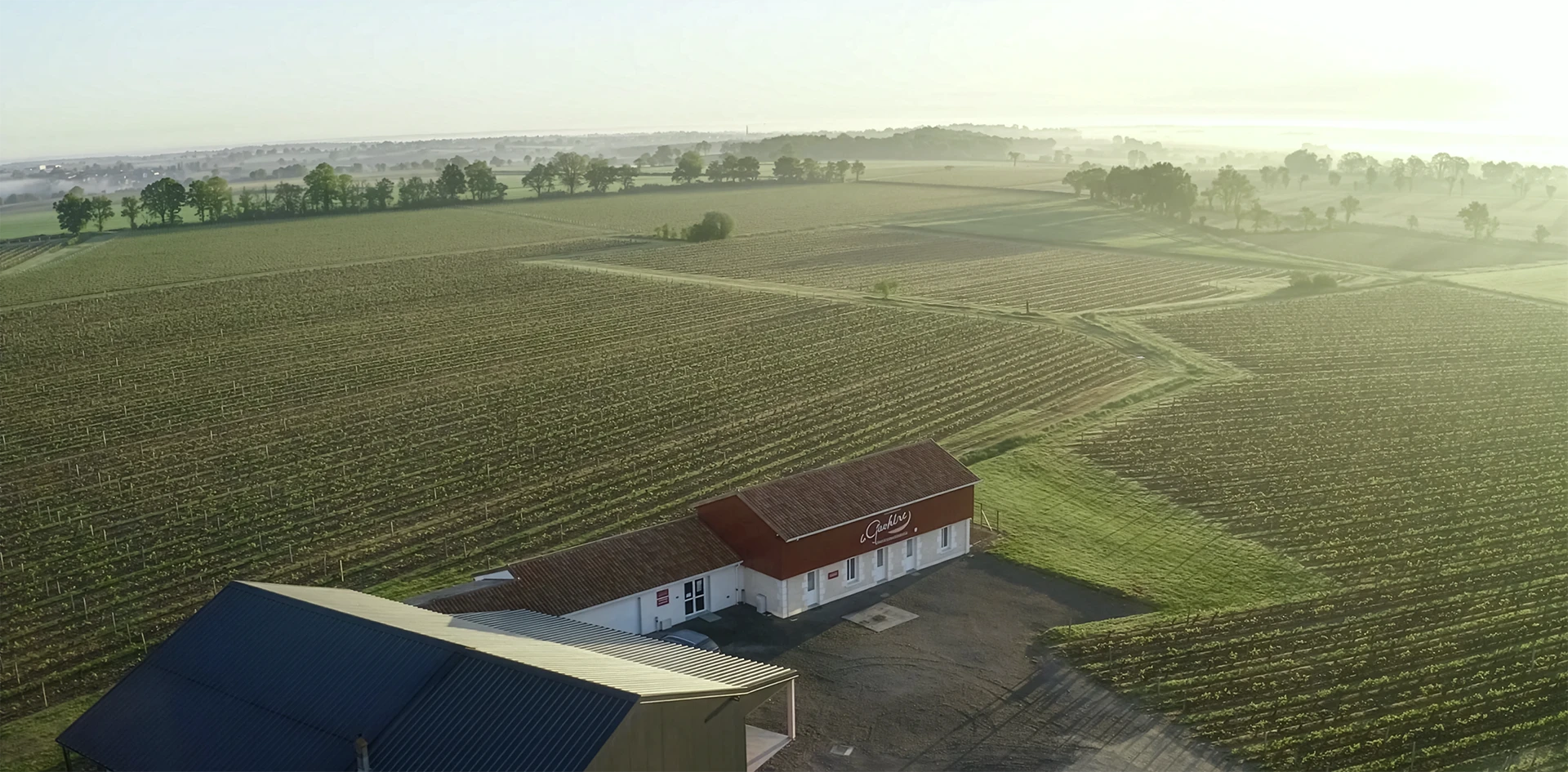 Woman in a dark golf outfit mid-swing on a lush green golf course, with sand bunkers and trees in the background, promoting a 38% discount.