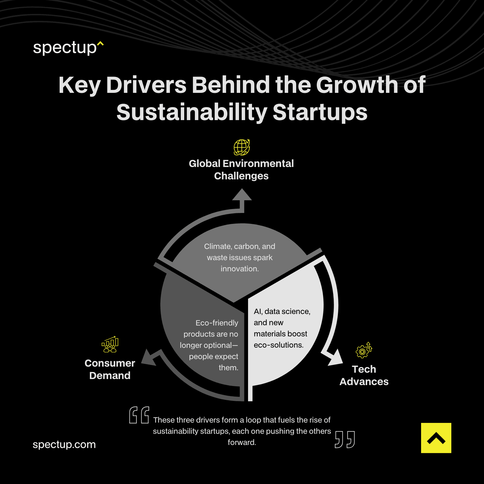 Key Factors Behind the Growth of Sustainability Startups